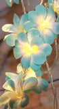 1 Set of 50 LED Tropical Blue Frangipani Flower Battery 5m LONG String Lights Christmas Gift Home V382-BLUEFRANGIBATT50