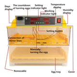 Rooster Farms Electric 96 Egg Incubator Accessories for Chicken Quail Duck V238-SUPDZ-31400244838480