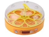6 Egg Smart Chicken Incubators Automatic Temperature Control Small Display Hatcher Machine for V1294-YM0901-3111240103512