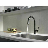 2023 Matte Black Pull out Kitchen tap Solid stainless steel PVD plated V549-BLACKPULLNEW4