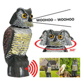 Owls to Scare Birds Squirrels Away,Owls to Frighten Birds 360 Degree Rotating Head,Plastic Owl V1370-AZ4-05834
