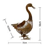 Decorative Duck Egg Basket / Storage 51cm V637-03820DCK