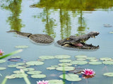 Realistic Floating Alligator Decoy for Pool and Pond, Life Size Floating Crocodile Statue for Garden V1192-AZ-W-33961
