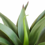 Faux Agave UV Resistant 50cm V637-DP1020708