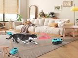 Interactive Electric Cat Teaser Toy with Remote Control, Feather Attachment, and Simulated Mouse V1341-ZY-2WBJPBNC-BLUE