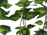 Artificial Pothos / Ivy Hanging Vines 260cm Each V637-DP1158896