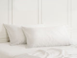 MULBERRY SILK PILLOW CASE TWIN PACK - SIZE 51X76CM - IVORY ABM-202023