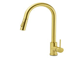 WELS Brushed Gold Pull Out Kitchen Sink Tap Basin Mixer Faucet 2 Modes Spout Set V1233-KRD519BG