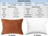 18" x 18" Decorative Throw Pillow with Inserts, Set of 2 Soft Modern Farmhouse Throw Pillows, Square V1258-DP02-C-3208