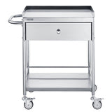 VEVOR Medical Cart, 2 Layer stainless Steel Cart100 kg Weight Capacity Utility Cart Silent Wheels V952-SYSSTCSB20124D3E4V0