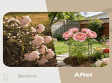 8PCS Peony Cages and Supports, 11.8" x 17.7" Iron Flower Stakes, Green Circular Guide Growth System V1192-AZ-W-18385