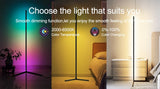 Black Silver 1.6m Floor Light Smart Voice-Controlled Light USB Powered Light Ambient Light V1347-124-SIL-82961