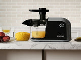 Spector Cold Press Juicer Slow Juicer Processor 150W AP0044-AU