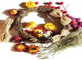16 Pcs Small Natural Rattan Grapevine Circle Wreath Forms Branch Decorative Twig for Front Door V1369-AZ3-W-15744