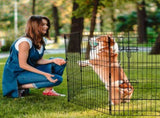 Dog Playpen, 8 Pcs 30"H x 24"W Panels Foldable Metal Pet Exercise, Dog Fence Indoor and Outdoor V952-XSYDCWWLXTSD48O5RV0
