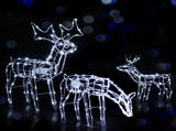 Jingle Jollys Christmas Lights 3 Pcs Reindeers 250 LED Decorations XMAS-MOT-3DEERS-MOV-WH