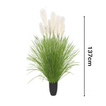 SOGA 137cm Potted Tall Silk Fake Pampas Grass, Artificial Plants Reed Greenery Flowers, Home Decor APLANTFH60211