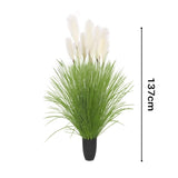 SOGA 2X 137cm Potted Tall Silk Fake Pampas Grass, Artificial Plants Reed Greenery Flowers, Home APLANTFH60211X2