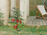 Weather Resistant Fiberglass Tomato Stakes with Square Trellis Frame for Garden Support, 1 Set V1370-AZ4-10806