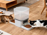 PaWz 6L Automatic Pet Feeder 2 Bowl Food Dispenser PT1275-6L-VD-AU