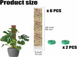 6 Pcs 24 Inch Plastic Moss Pole for Plants Monstera, Stackable for Indoor Work with Sphagnum Support V1259-DP01-A-2706