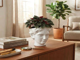 Urban Attitude Venus Head Planter - Matte White V398-UA-UT260609WHT
