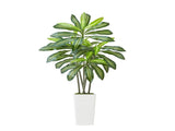 Artificial Dracaena Tree 1524 mm, Fake Palm Tropicals with White Taller, Faux Floor Silk V952-RZRDZWLXS5FT31TZT001V0
