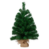 61cm Chadwick Green Pre-Lit Tabletop Christmas Tree 112_OPCG2P