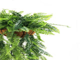 Artificial Hanging Fern Basket UV Resistant 35cm x 125cm V637-DP27935