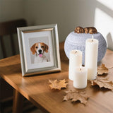 Dog Cat Ashes Urn Portland Cement pet urns for Cats or Small Dogs, Animal Memorial Keepsake Box V1107-137-12767-BLK-CAT