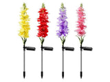Solar Garden Light LED Outdoor Solar Hyacinth Flower Lights Landscape Decoration Lighting for V1294-YM0901-3119240119012