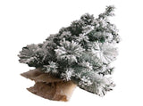 17.7in Artificial Mini Xmas Tree Snow Flocked Artificial Pine Xmas Tree for Home Office Party Shop V1294-YM0901-3115240085111