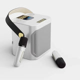 High Power Karaoke Bluetooth Speaker With Dual Microphone V1142-LP1005006966356393