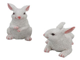 1 Pair Bunny Rabbit Ornaments Decorations Resin Art Craft Animal Model Sculpture Statue Figurine for V1294-YM0512-3111220285911
