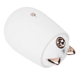 Facial Steamer Portable White Nano Thermal Spray Humidifier Skin Humidifier V1294-YM0901-3113210176111
