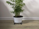 Mobile Flower Stand with Universal Wheels Metal Movable Flower Pot Stand V1294-YM0523-211019LW07-1