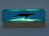 Night Light Simulated Marine Landscape USB Powered White Lighting Multi Purpose Decorative Ambient V1294-YM0901-3119250009611
