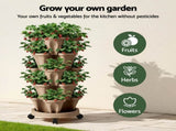 Green Fingers Garden Bed 5 Tier Vertical Garden Grey Strawberry Stackable Planters Herb Petunias Tan GARDEN-PLASTIC-25L-DYE