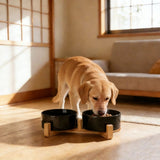 Ceramic Double Bowl Dog Cat Food Water Bowl Elevated TallFeeding Bowl 550ml Capacity Cervical Spine V1370-AZ4-09324