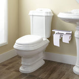 Wall Mounted SUS 304 Stainless Steel Double Roll Toilet Paper Holder, Dual Paper Tissue Roll V1294-YM0722-JYA03112