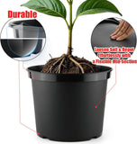 5 Gallon 12 Inch Plastic Nursery Pots, Plant Containers with Drainage Holes, Round Sturdy Garden V1258-DP02-C-1473