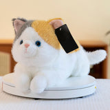 Weighted Cat Stuffed Animal Realistic Stuffed Cat Toy Throw Pillow Gray Weighted Stuffed Animals For V1366-AZ2-W-28060