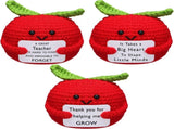 3 Pcs Teacher Appreciation Gifts Easter Gift Positive Flower Handmade Crochet Doll Thank You for V1259-DP01-A-4834