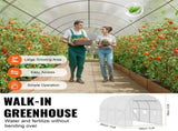 Walk-in Tunnel Greenhouse 9.58x6.43x6.23ft Galvanized Frame PE Cover White V952-SDXWS10X7X7F4BYNQV0