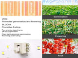 Full Spectrum Plant Grow Light Home Succulent Color Indoor Green Plant Flower Replacement Lights V1294-YM0901-L6915EU-2