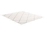 Indoor Plush Area Rugs, 2.44 x 3.05m Plush Carpet, Area Rugs Furry with Long Plushs Pile, Thick & V952-JXDDTSSCR8X10TZKW001V0