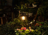 Black Hanging Solar Lights Lantern Lamp with Shepherd Hook,Waterproof Bulb Lights for Garden Outdoor V1366-AZ2-W-29061