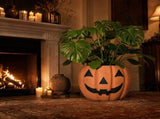 Halloween Decor, Pumpkin Planter with Jack O Lantern Face, Fall Decor for Porch, Indoor Outdoor, V1369-AZ3-W-21678