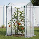 Green Fingers Mini Greenhouse PE Cover Green House Roll-Up Zippered Door 1.0x0.8x1.5M GH-MINI-F-100X80-TP