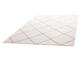 Indoor Plush Area Rugs, 2.44 x 3.05m Plush Carpet, Area Rugs Furry with Long Plushs Pile, Thick & V952-JXDDTSSCR8X10TZKW001V0